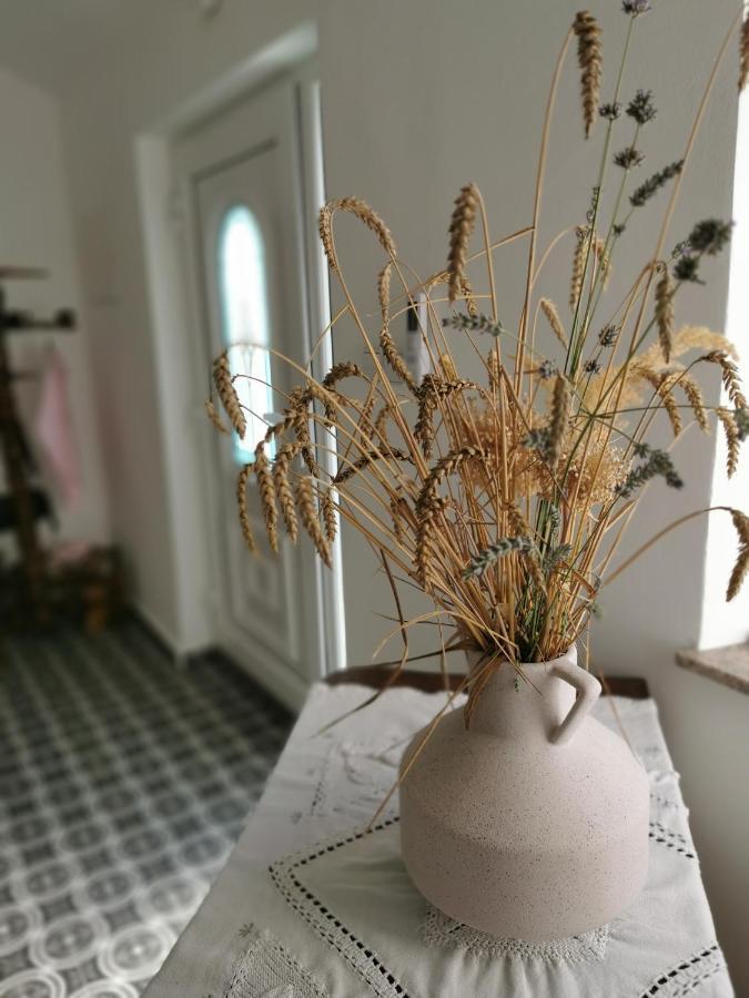 Slovenske Konjice Charming Village House With Patio And Garden מראה חיצוני תמונה