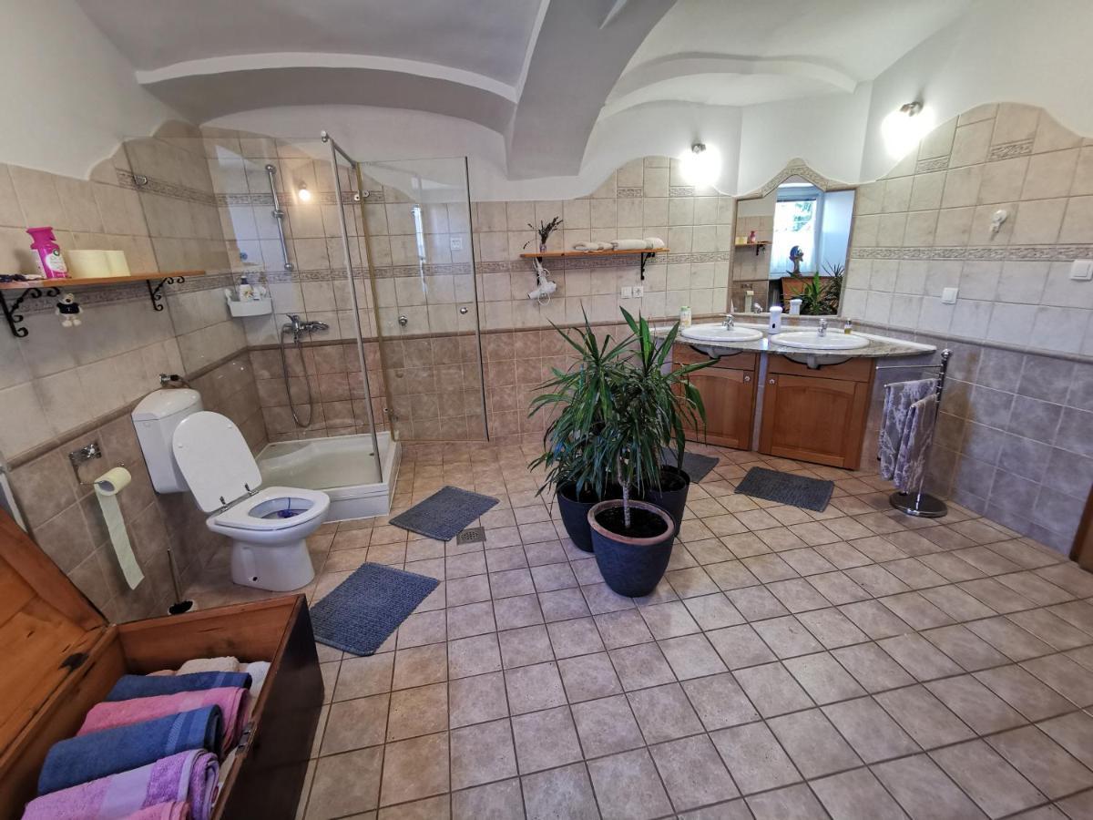 Slovenske Konjice Charming Village House With Patio And Garden מראה חיצוני תמונה