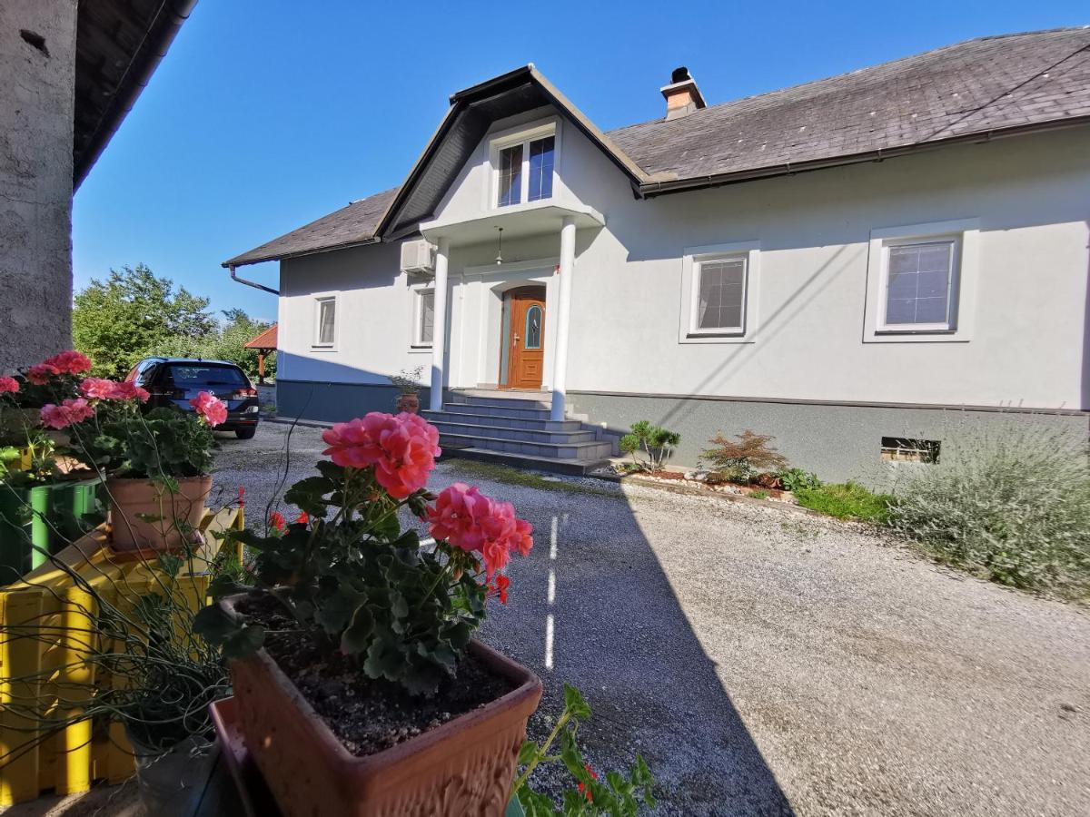 Slovenske Konjice Charming Village House With Patio And Garden מראה חיצוני תמונה